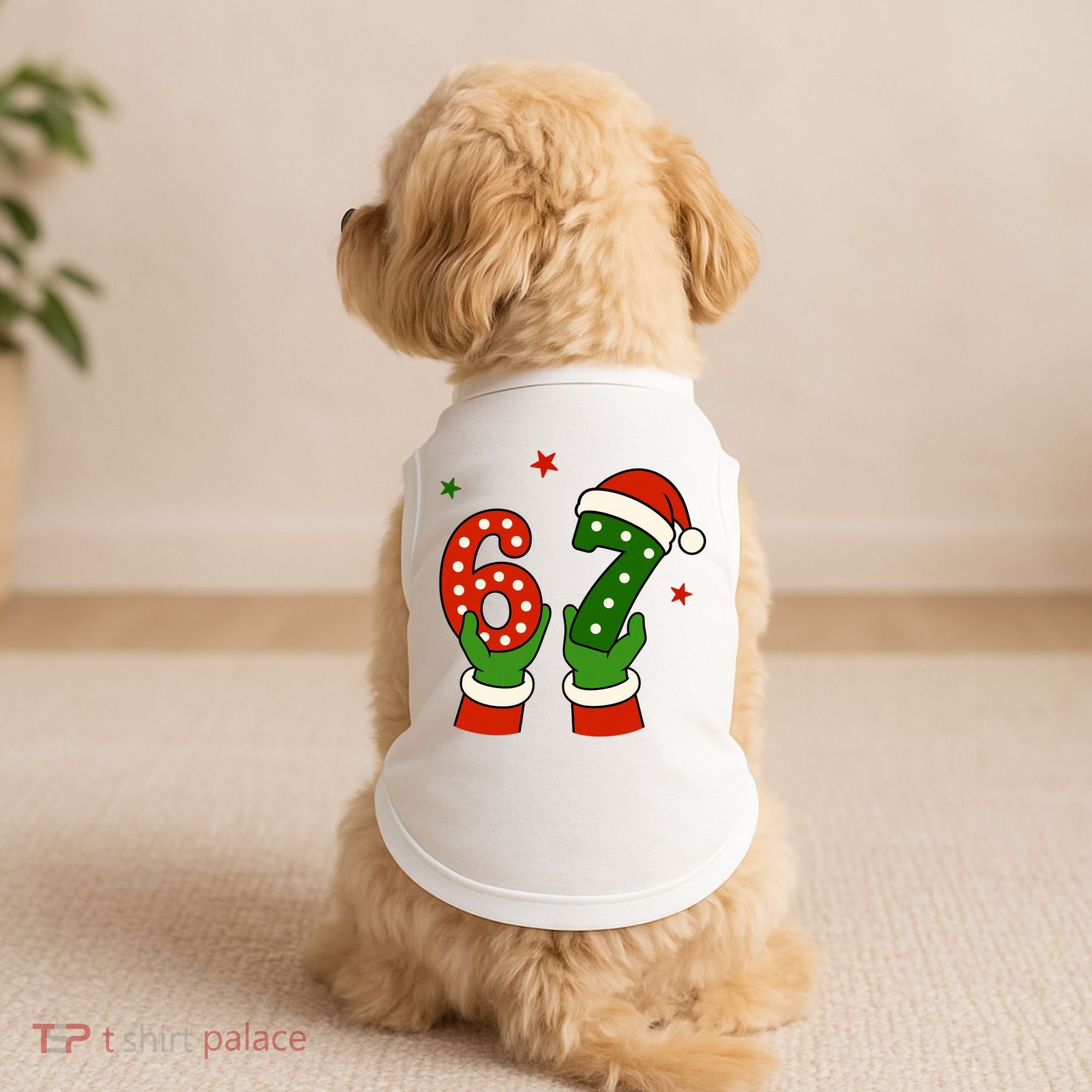 Funny Christmas 67 Six Seven Santa Doggie Tank