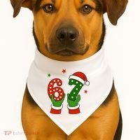 Funny Christmas 67 Six Seven Santa USA-Made Doggie Bandana thumb 1