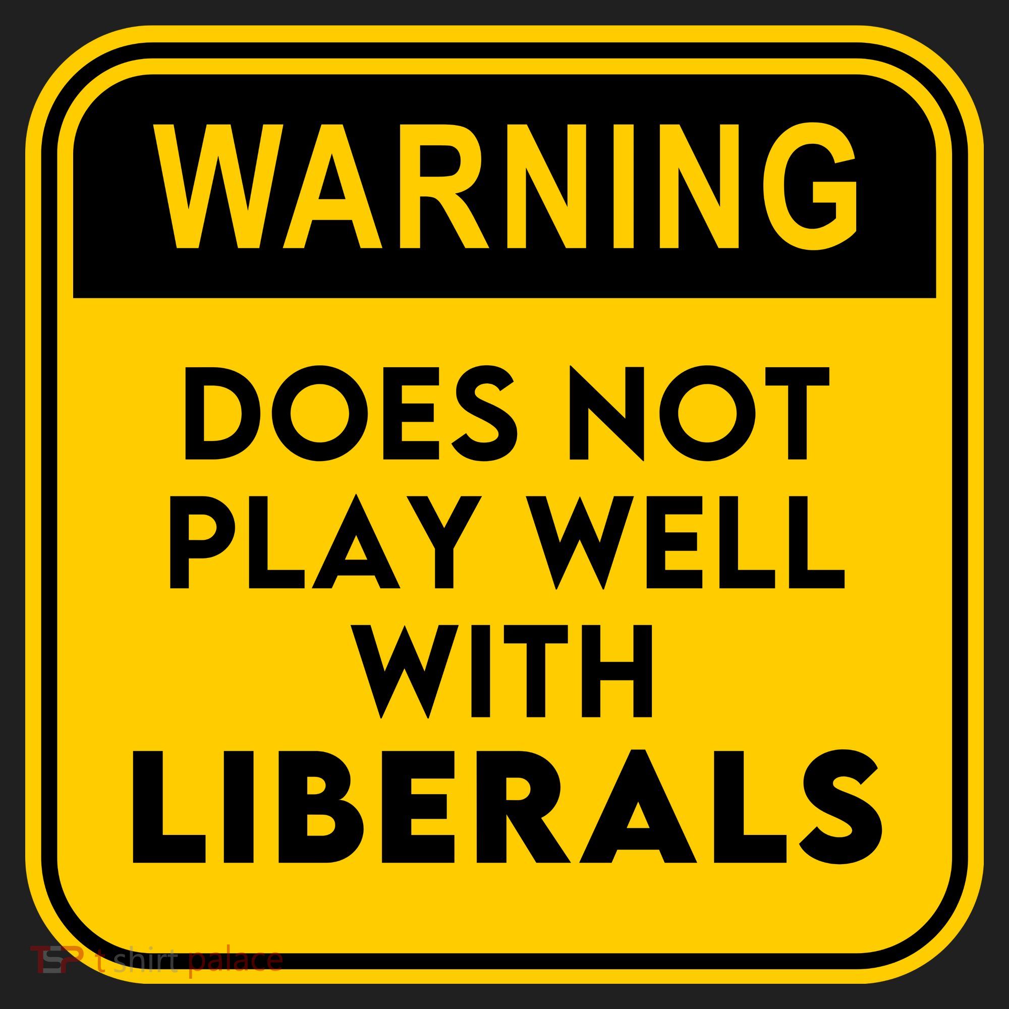 Funny Conservative Anti Liberal Beanie