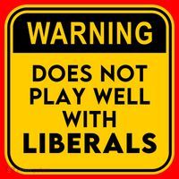 Funny Conservative Anti Liberal Santa Hat thumb 1