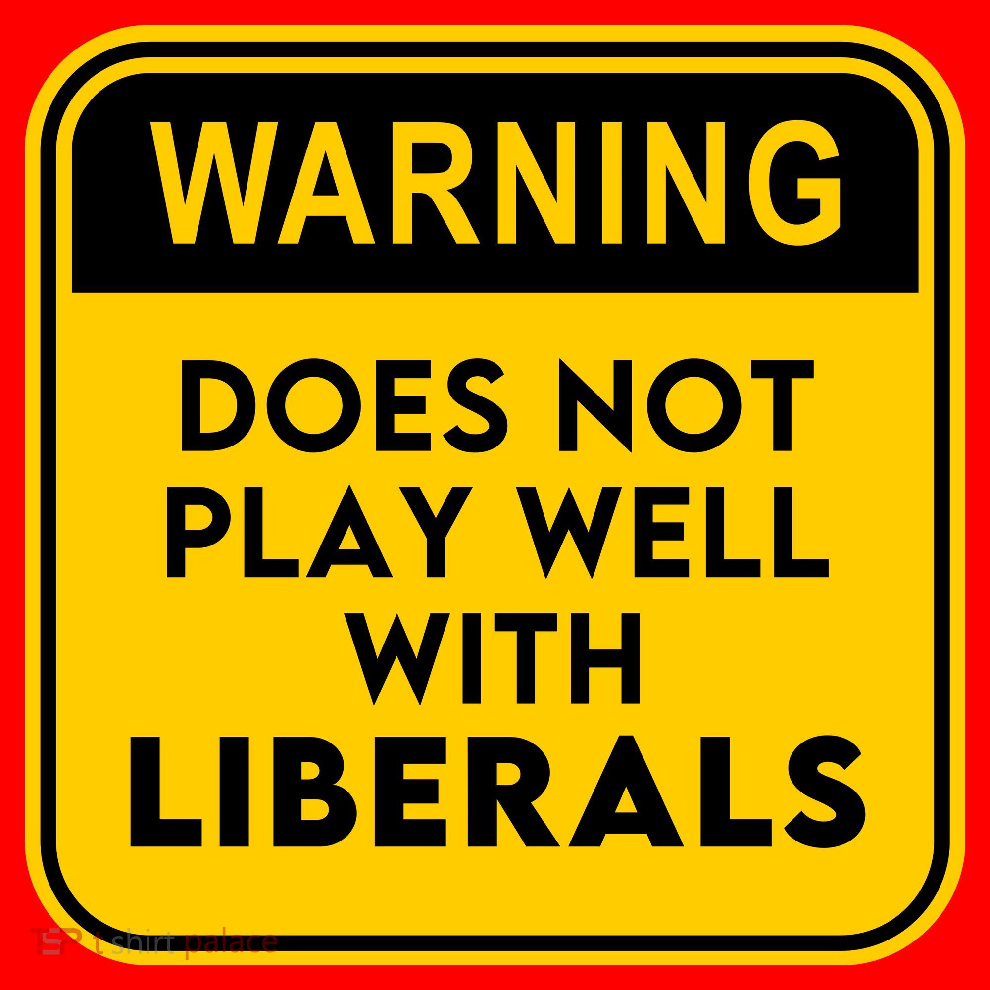 Funny Conservative Anti Liberal Santa Hat