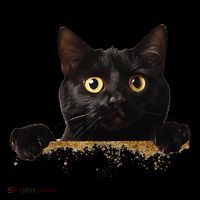 Funny Curious Adorable Cat Black Peeking Kitten Pet Lovers Coffee Mug thumb 5