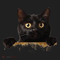 Funny Curious Adorable Cat Black Peeking Kitten Pet Lovers Beanie thumb 2