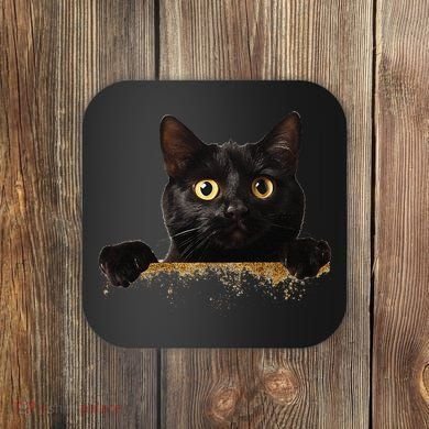 Funny Curious Adorable Cat Black Peeking Kitten Pet Lovers Coaster