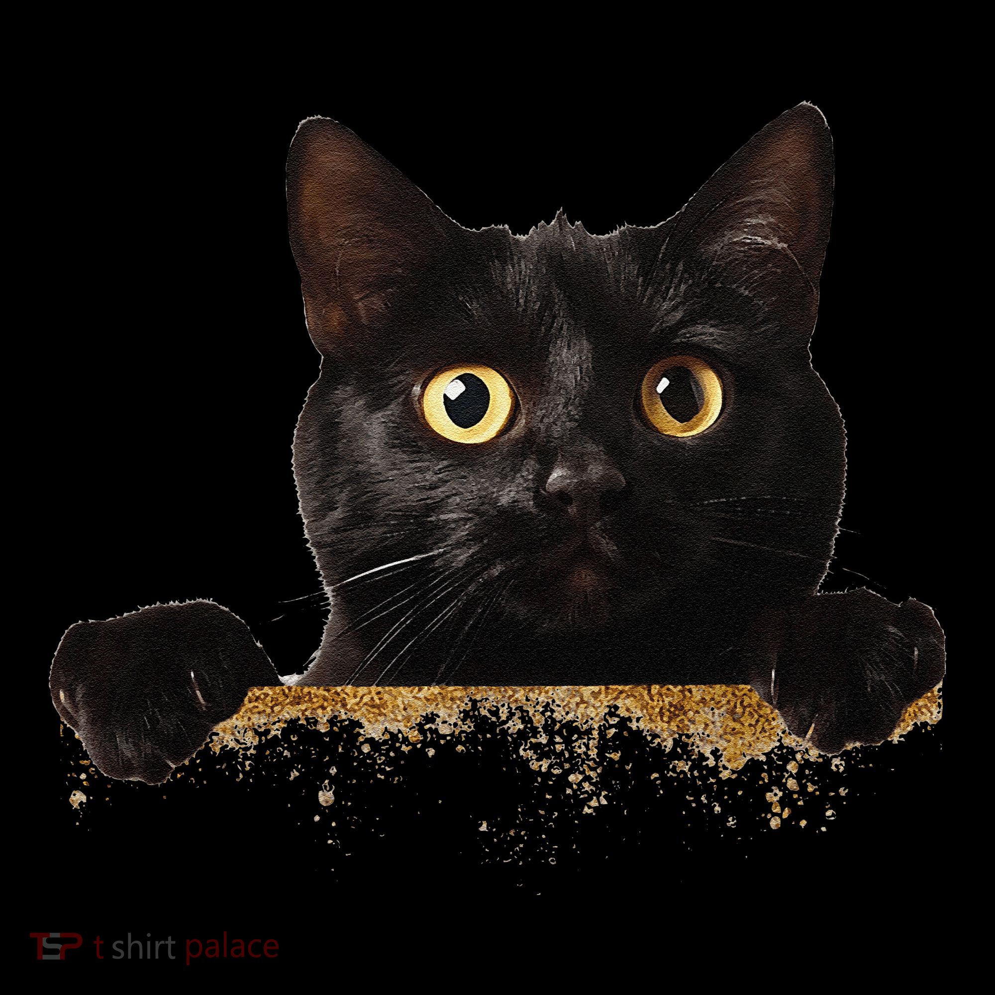 Funny Curious Adorable Cat Black Peeking Kitten Pet Lovers Women's Hoodie