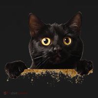 Funny Curious Adorable Cat Black Peeking Kitten Pet Lovers Women's Tank Top thumb 5