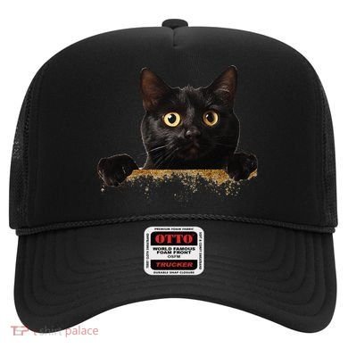 Funny Curious Adorable Cat Black Peeking Kitten Pet Lovers Hat