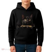 Funny Curious Adorable Cat Black Peeking Kitten Pet Lovers Kids Hoodie thumb 4