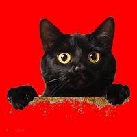 Funny Curious Adorable Cat Black Peeking Kitten Pet Lovers Santa Hat thumb 1