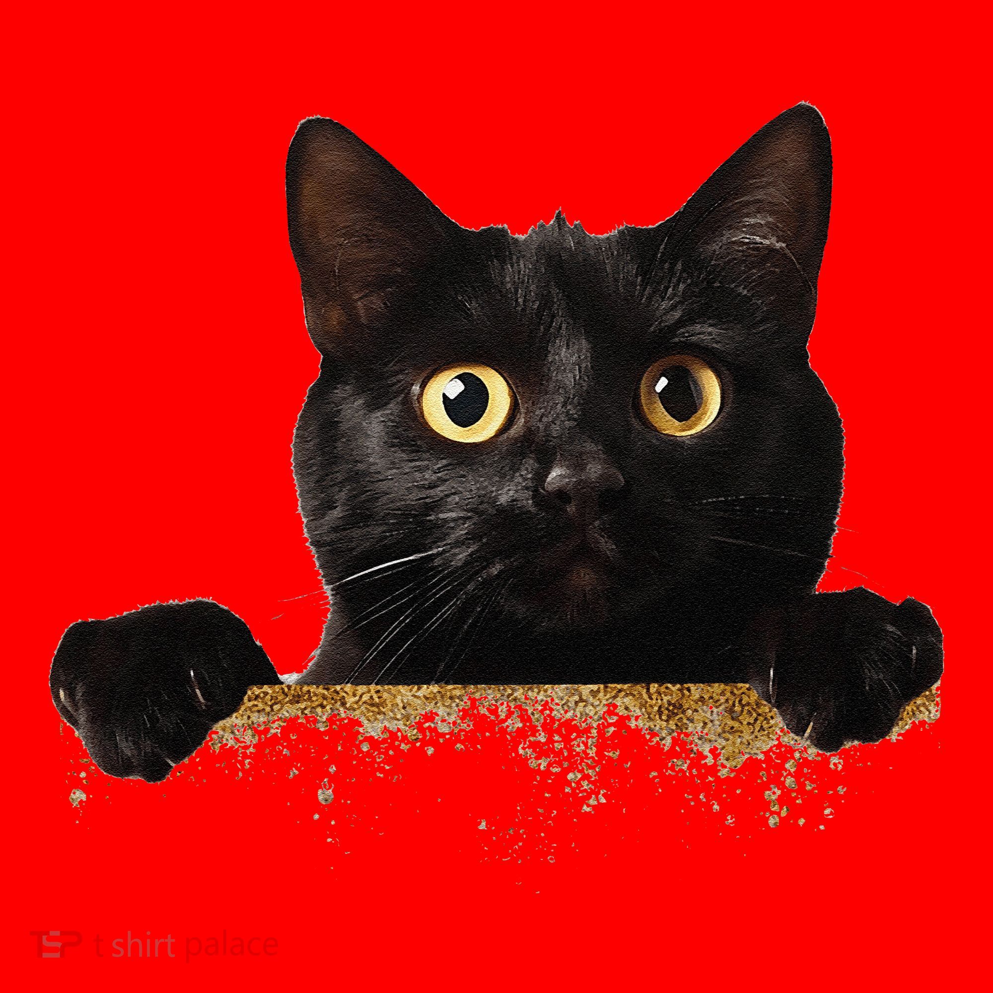 Funny Curious Adorable Cat Black Peeking Kitten Pet Lovers Santa Hat