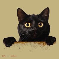 Funny Curious Adorable Cat Black Peeking Kitten Pet Lovers Sweatshirt thumb 2