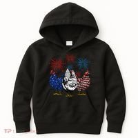 Funny Chickens American Flag Patriotic Farmer 4th Of July Kids Hoodie thumb 0