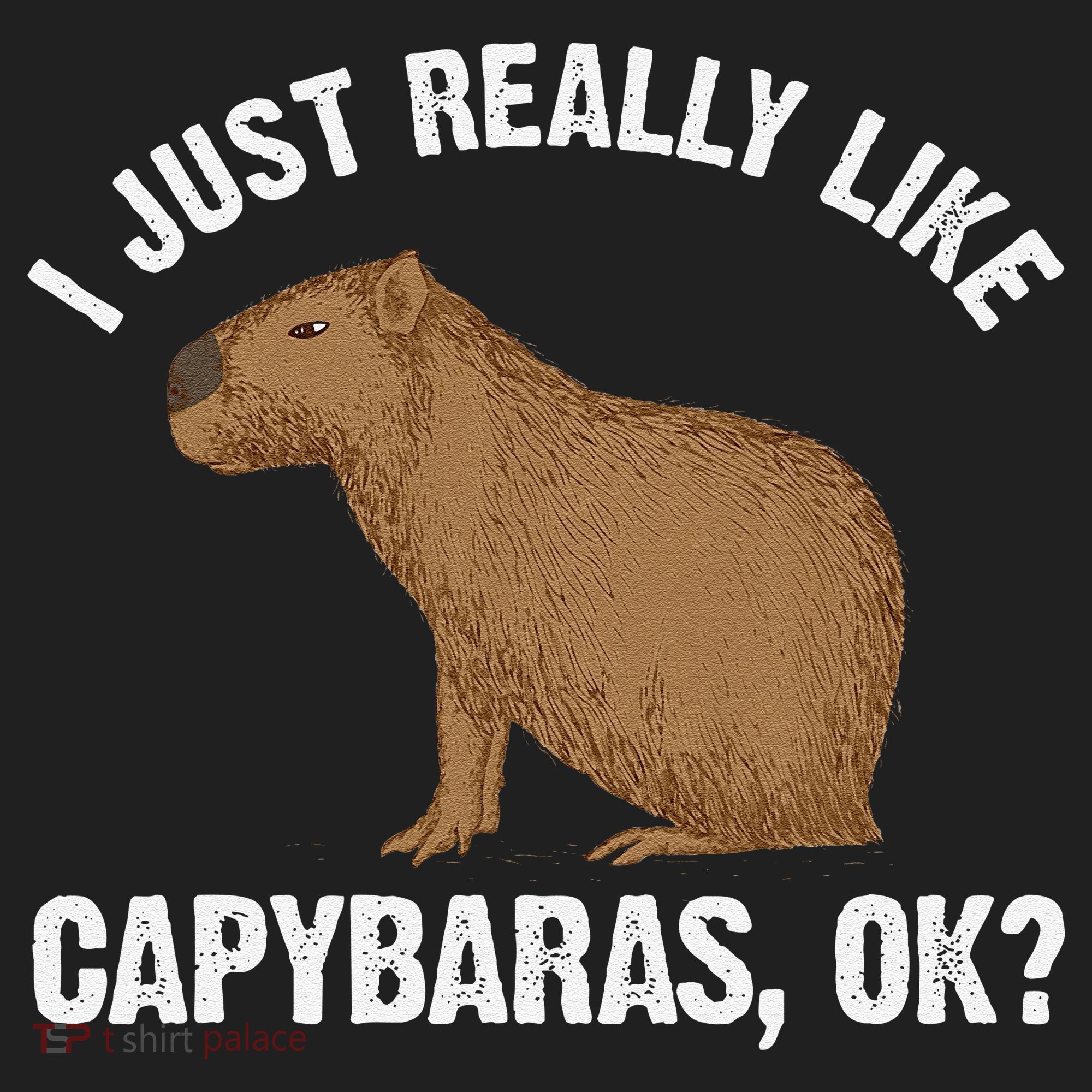 Funny Capybara Art For Rodent Capybara Lover Women's Sweatshirt