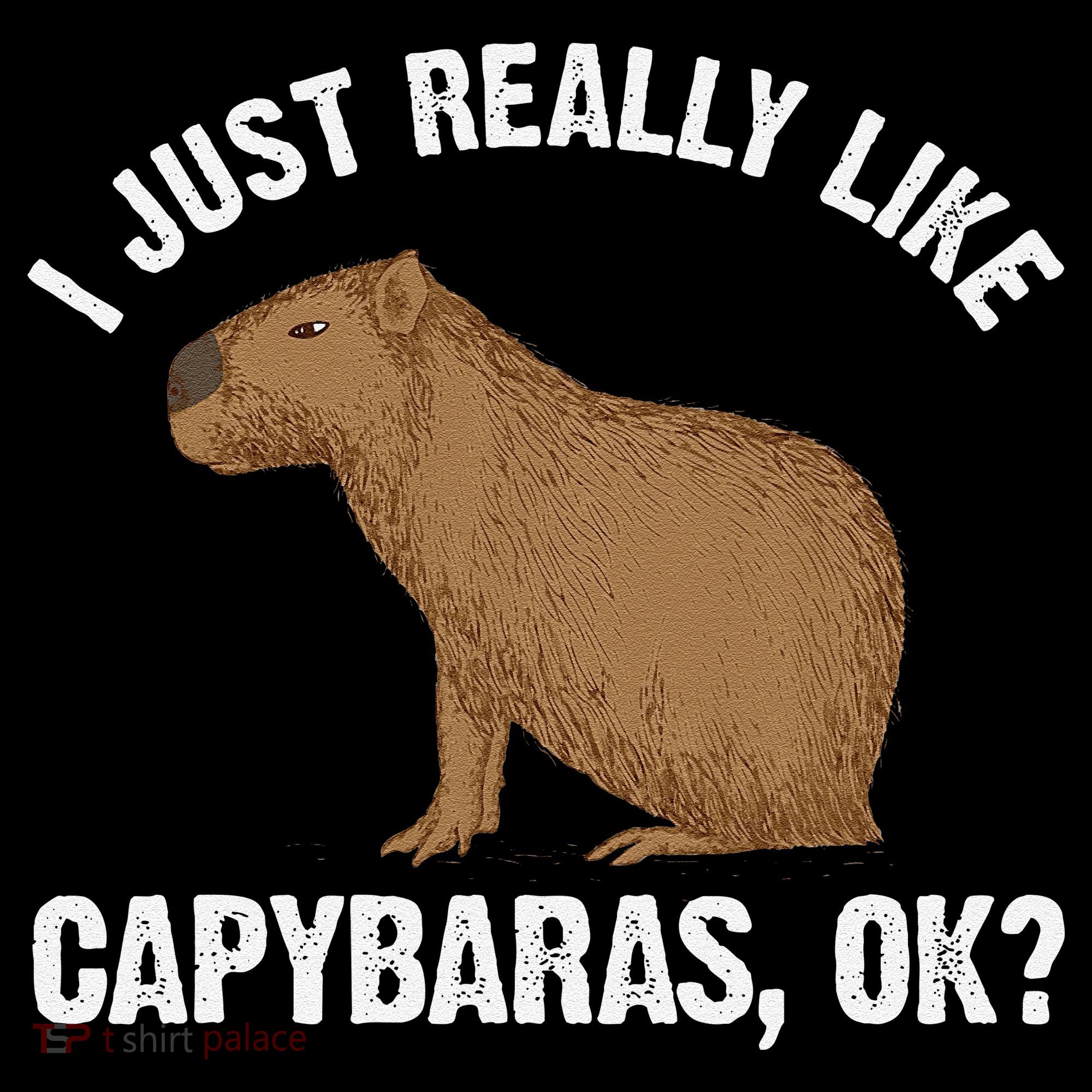 Funny Capybara Art For Rodent Capybara Lover Doggie Tank