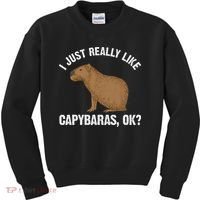 Funny Capybara Art For Rodent Capybara Lover Kids Sweatshirt thumb 0