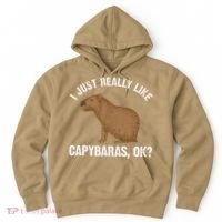 Funny Capybara Art For Rodent Capybara Lover Hoodie thumb 0