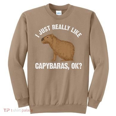 Funny Capybara Art For Rodent Capybara Lover Sweatshirt