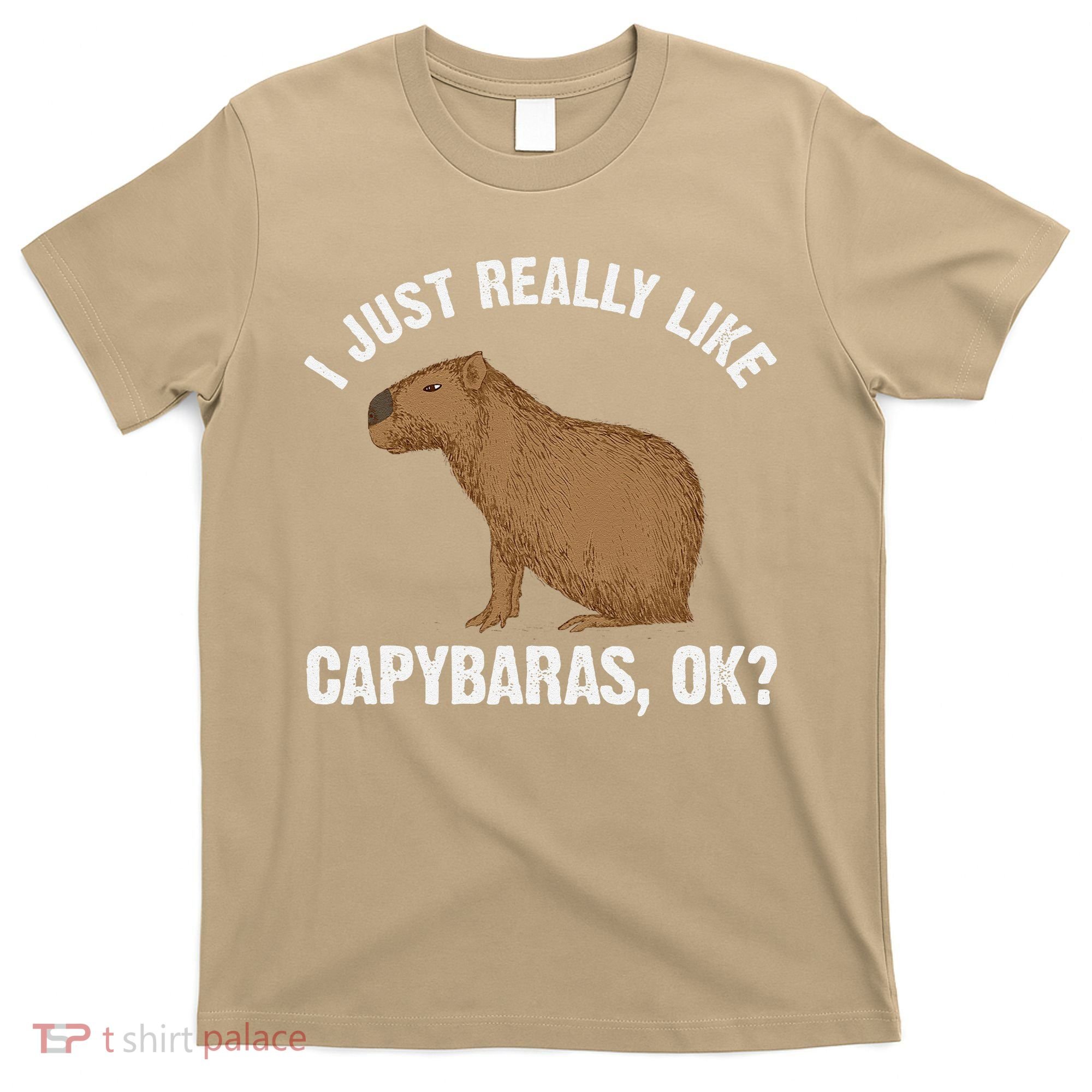 Funny Capybara Art For Rodent Capybara Lover T-Shirt