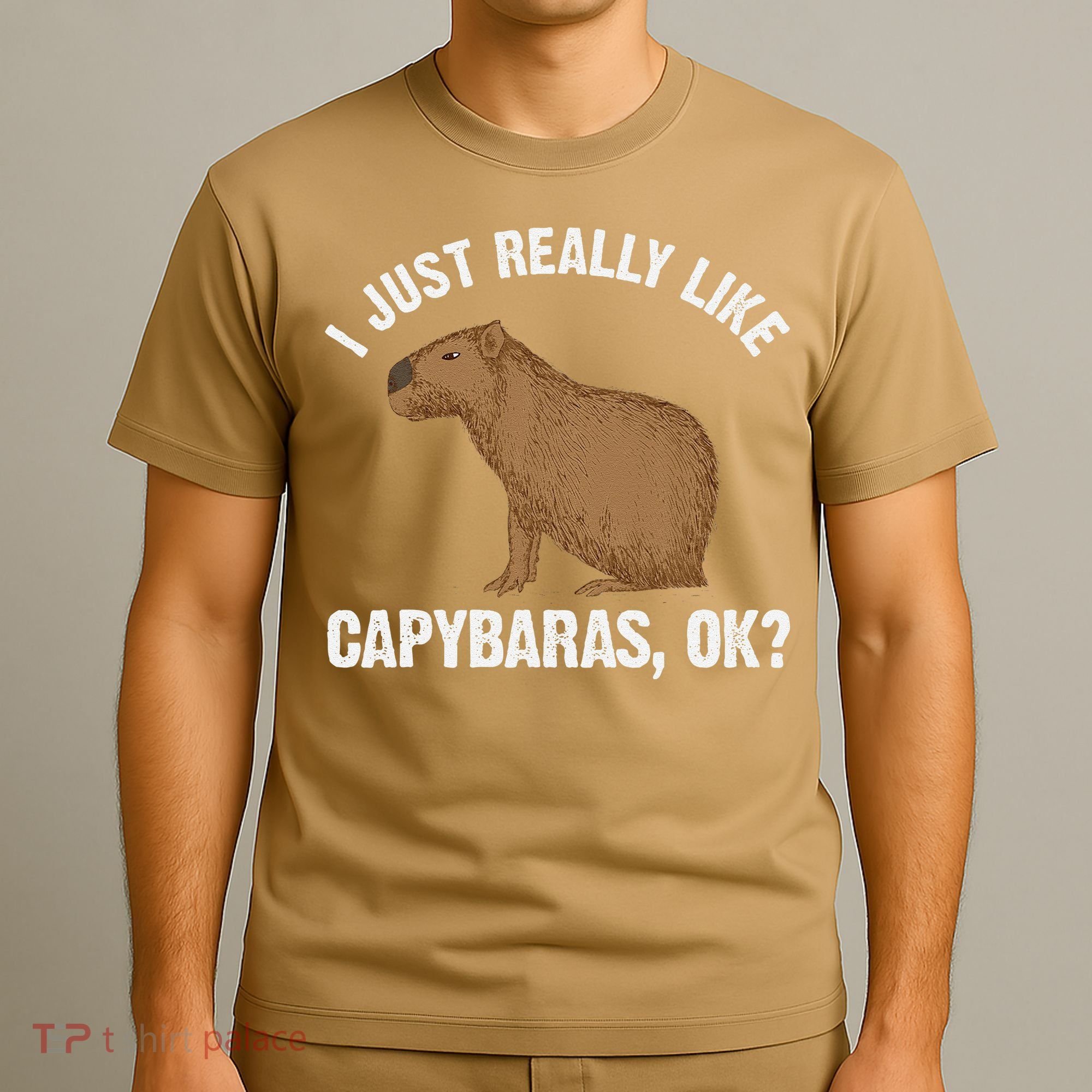 Funny Capybara Art For Rodent Capybara Lover T-Shirt
