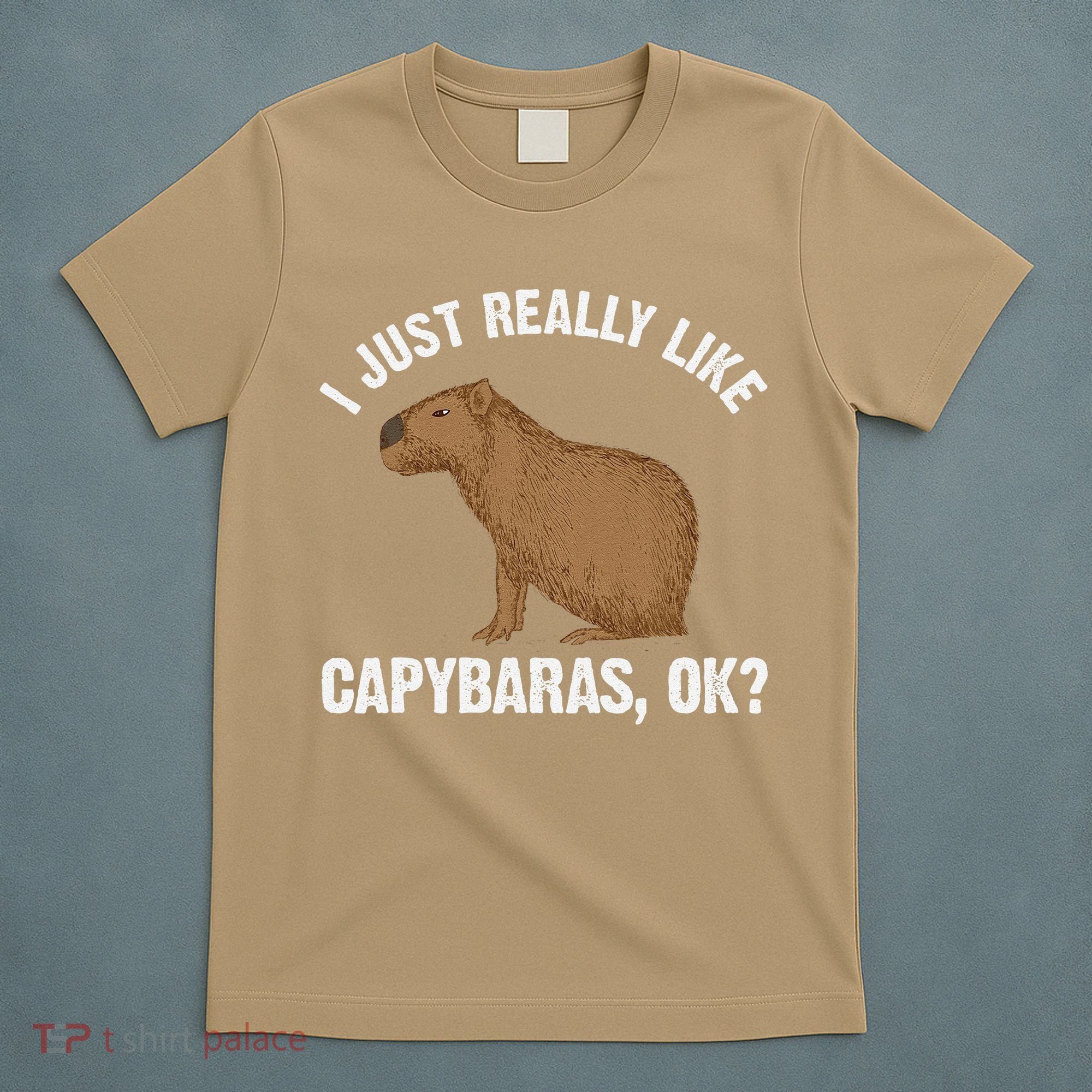Funny Capybara Art For Rodent Capybara Lover T-Shirt