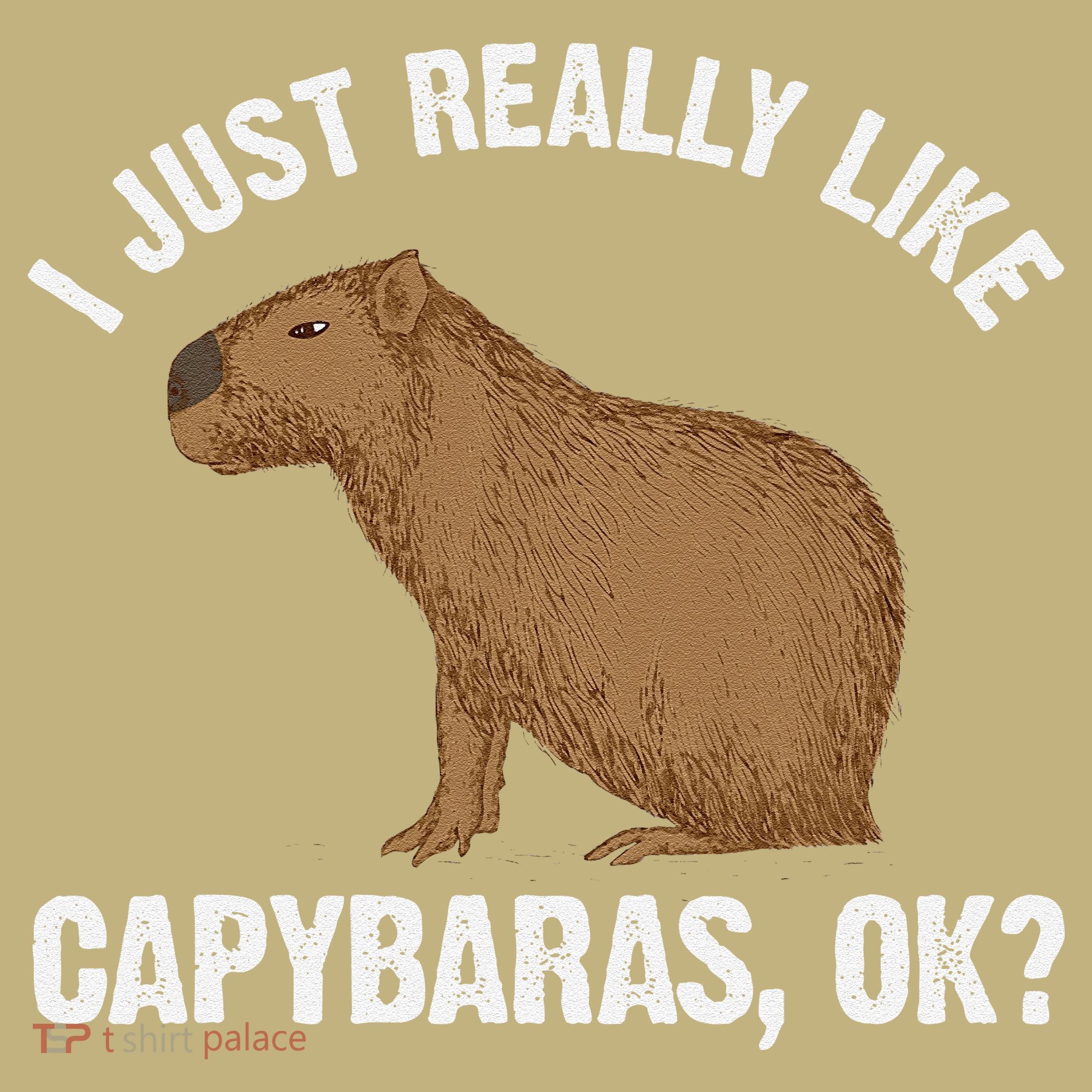 Funny Capybara Art For Rodent Capybara Lover Mousepad