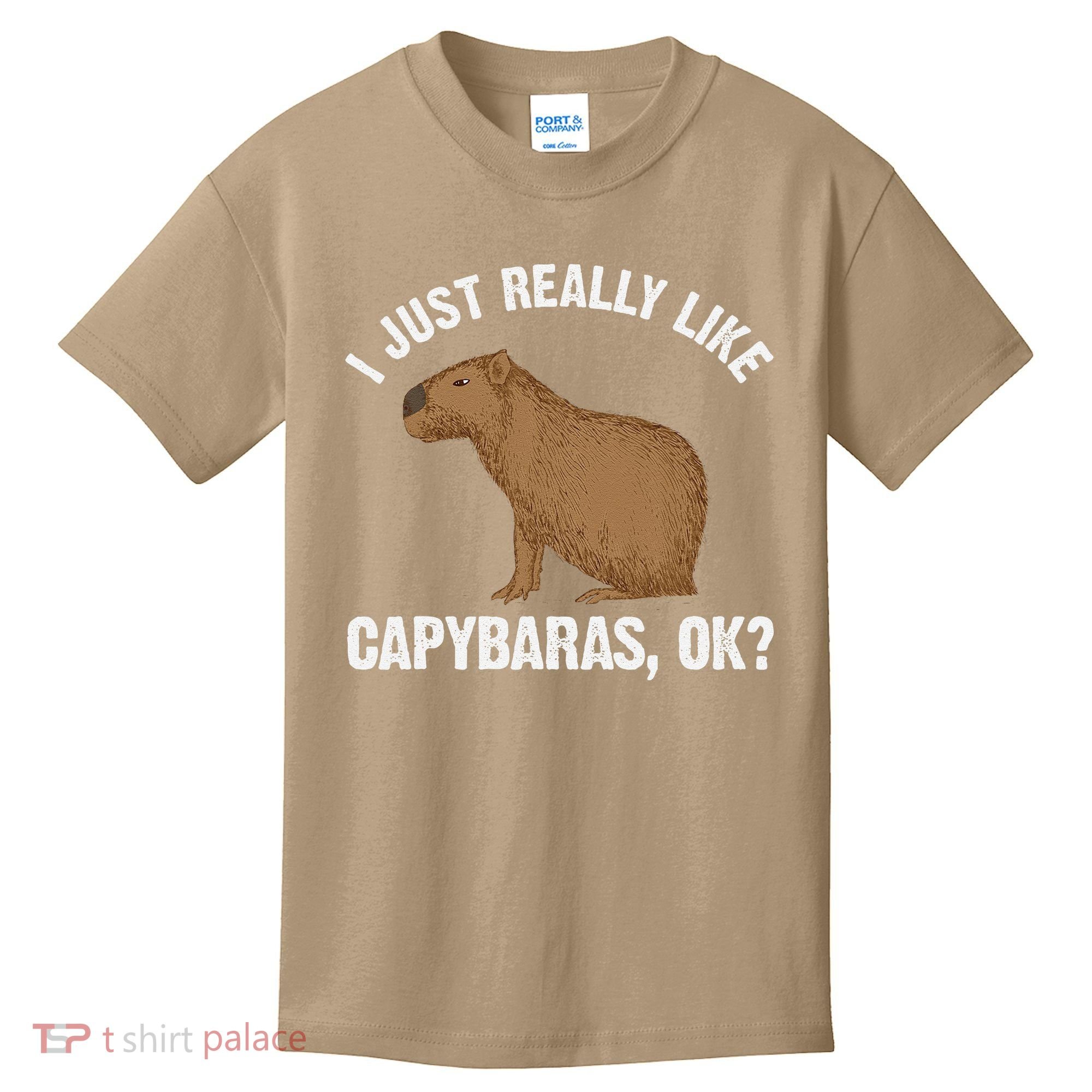 Funny Capybara Art For Rodent Capybara Lover Kids T-Shirt