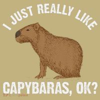 Funny Capybara Art For Rodent Capybara Lover Kids T-Shirt thumb 2