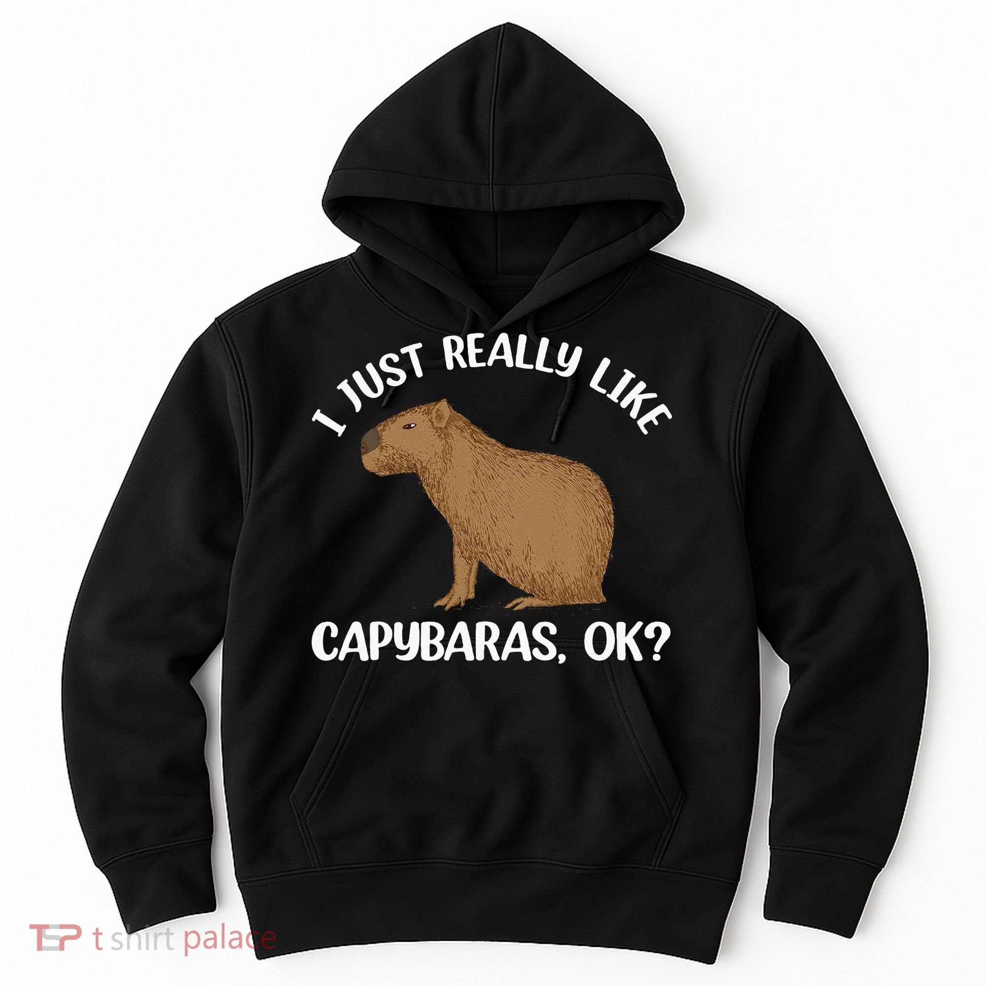 Funny Capybara Art For Men Women Kids Rodent Capybara Lover Hoodie