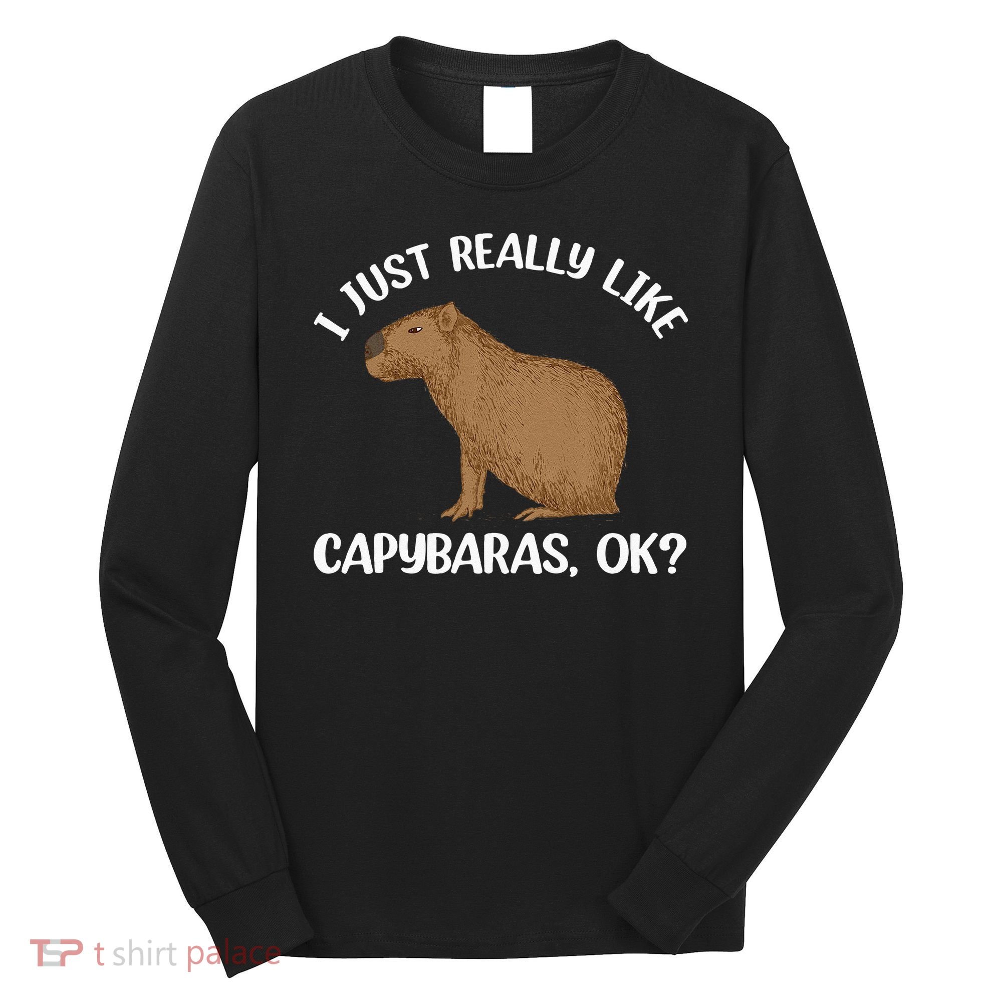 Funny Capybara Art For Men Women Kids Rodent Capybara Lover Long Sleeve Shirt