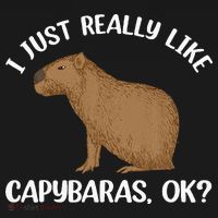 Funny Capybara Art For Men Women Kids Rodent Capybara Lover T-Shirt thumb 7