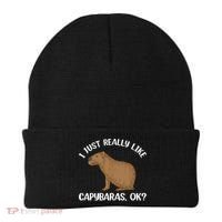 Funny Capybara Art For Men Women Kids Rodent Capybara Lover Beanie thumb 0