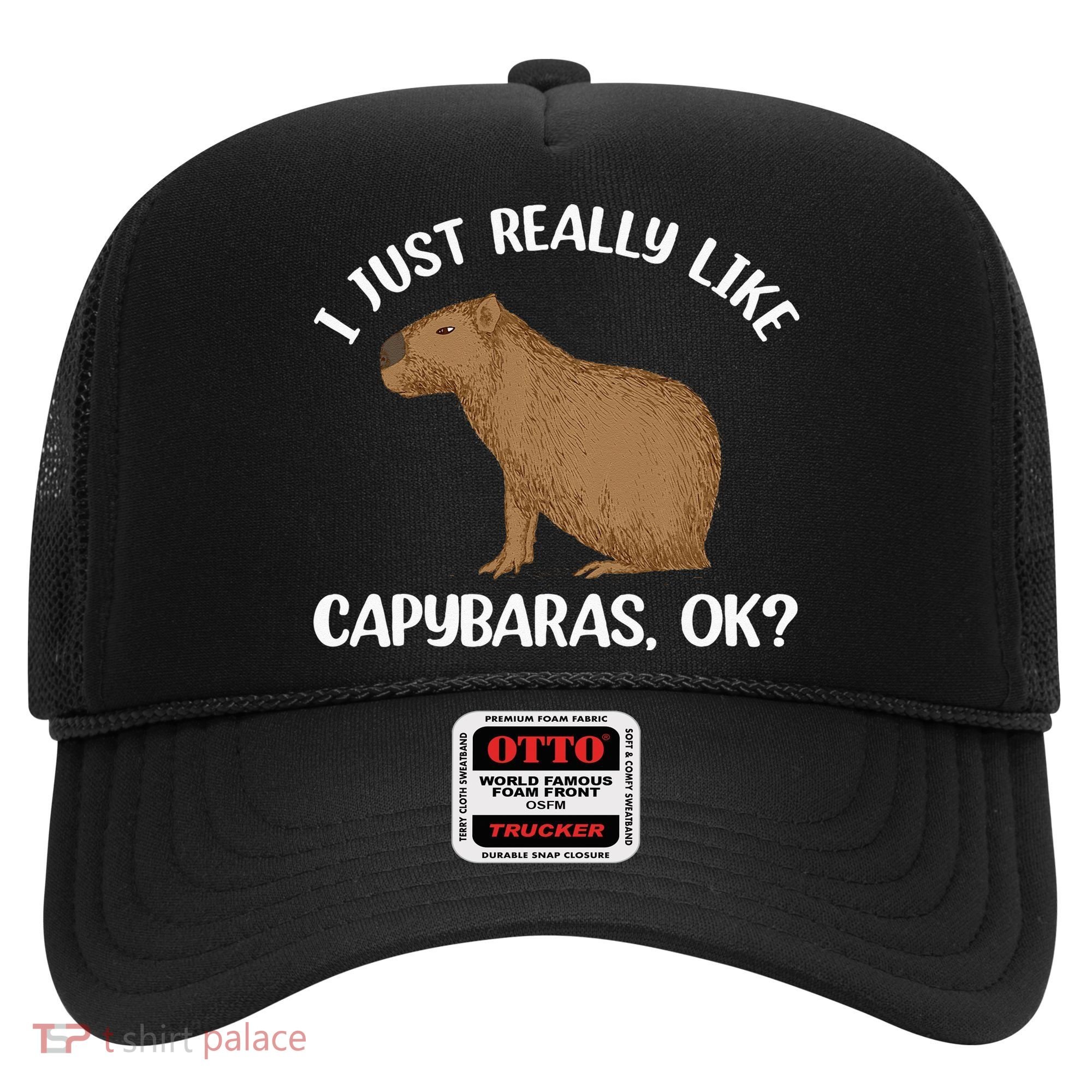Funny Capybara Art For Men Women Kids Rodent Capybara Lover Hat