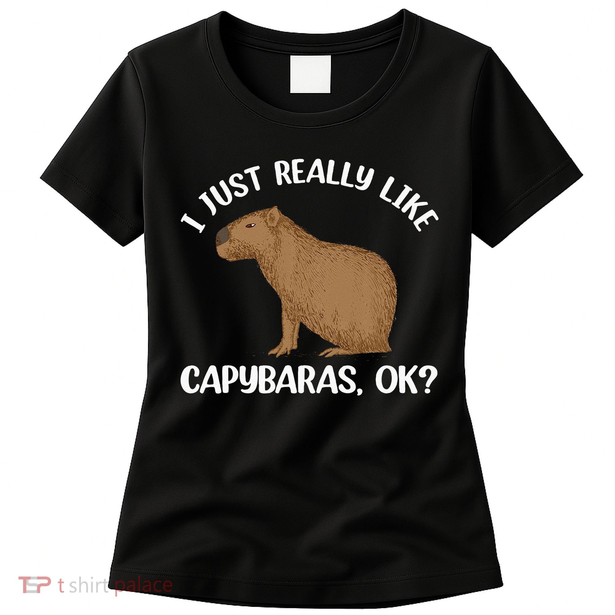 Funny Capybara Art For Men Women Kids Rodent Capybara Lover Women's T-Shirt