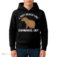 Funny Capybara Art For Men Women Kids Rodent Capybara Lover Kids Hoodie thumb 4