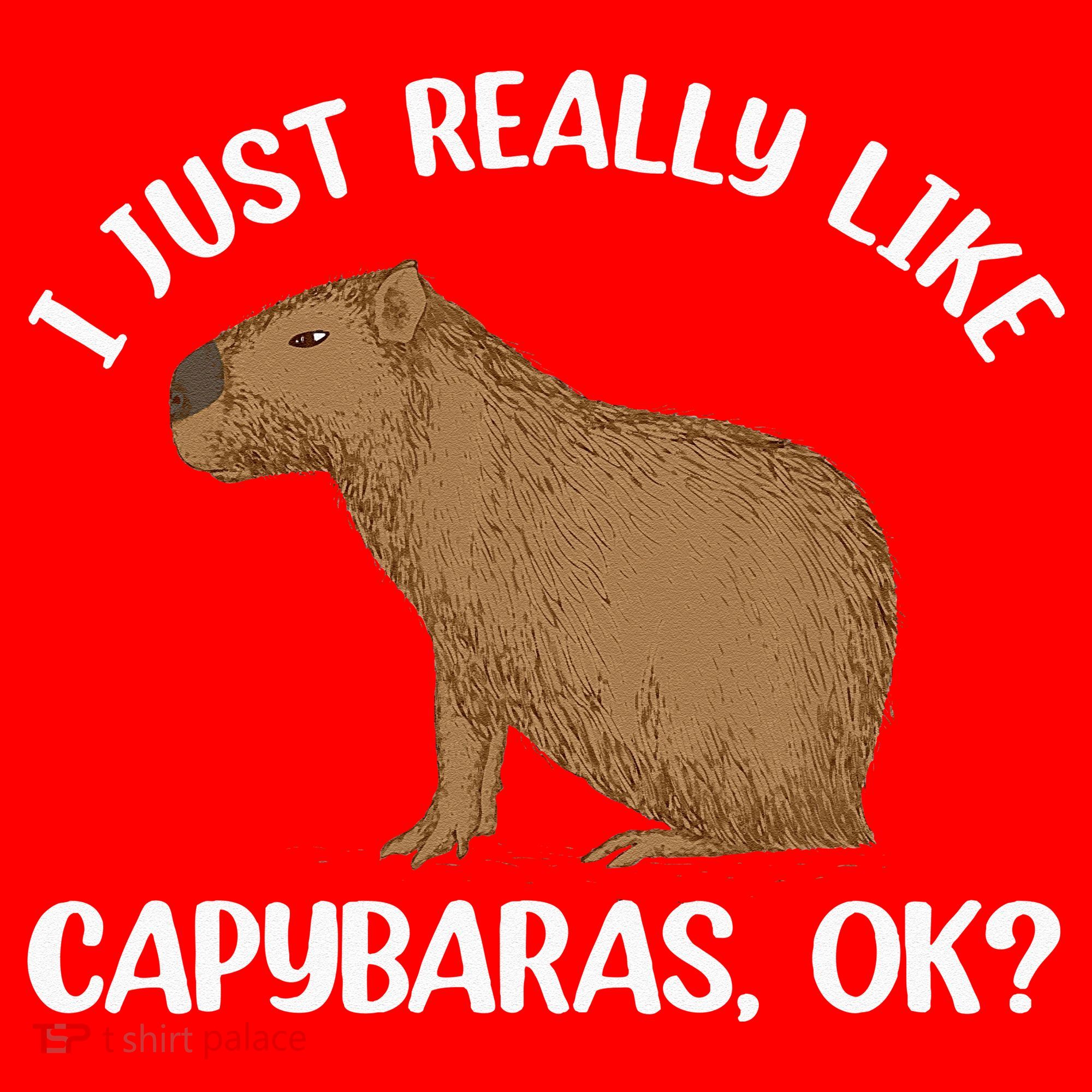 Funny Capybara Art For Men Women Kids Rodent Capybara Lover Santa Hat
