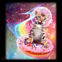 Funny Cute Astronaut Kitty On Rainbow Sprinkle Donut With Galaxy Background Ornament thumb 1
