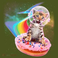 Funny Cute Astronaut Kitty On Rainbow Sprinkle Donut Kids Hoodie thumb 2