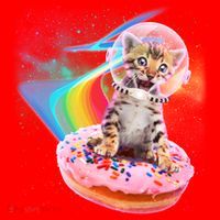 Funny Cute Astronaut Kitty On Rainbow Sprinkle Donut Santa Hat thumb 1