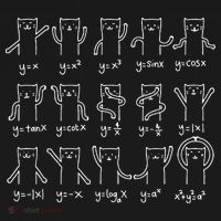 Funny Cat And Math Cat And Algebra Lover Cat T-Shirt thumb 7