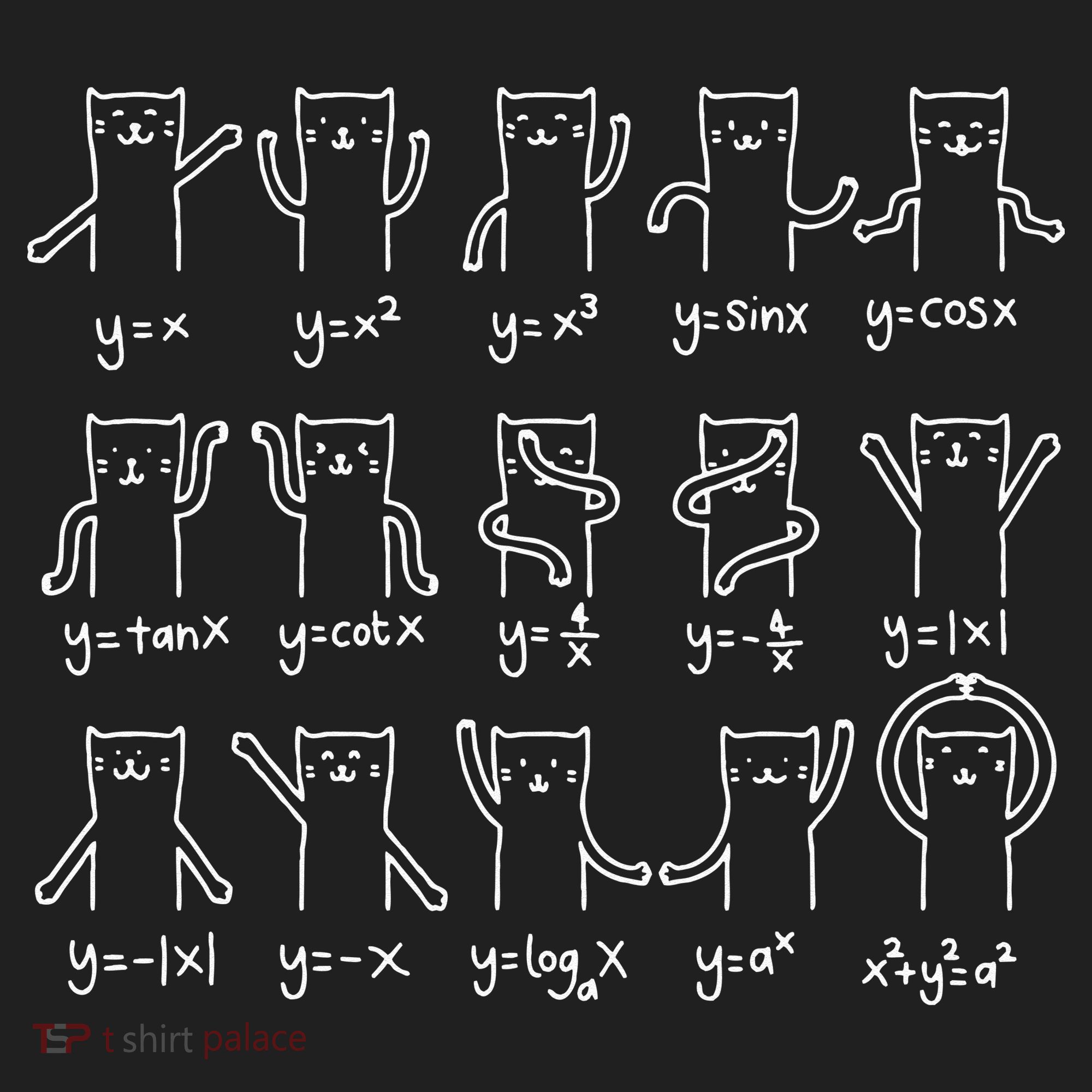 Funny Cat And Math Cat And Algebra Lover Cat Hat