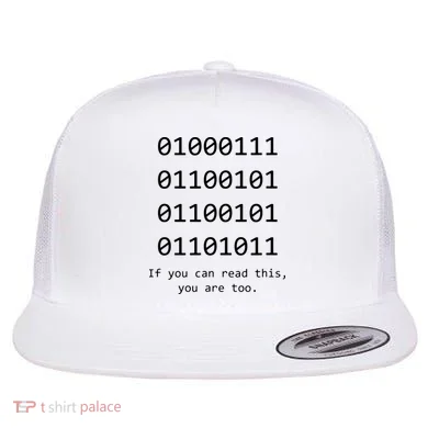 Funny Computer Binary Code Programmer Developer Geek Gift Flat Bill Trucker Hat