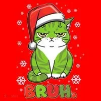 Funny Christmas Bruh Grumpy Grinch Cat Santa Hat thumb 1