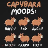Funny Cute Capybara Moods Children Women Hoodie thumb 7
