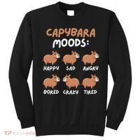Funny Cute Capybara Moods Children Women Sweatshirt thumb 0
