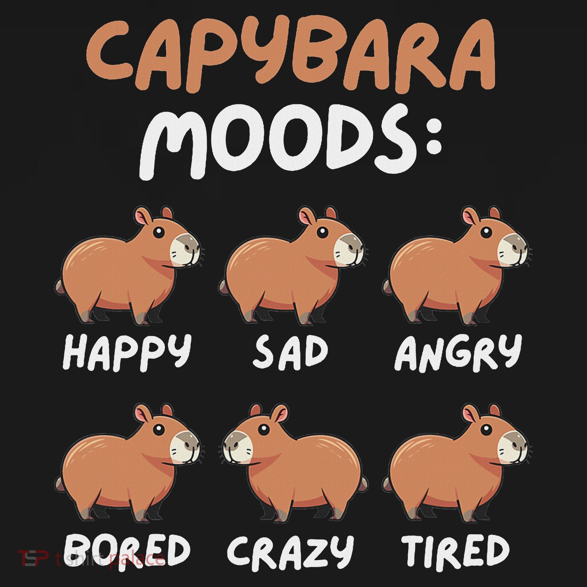 Funny Cute Capybara Moods Children Women Sweatshirt