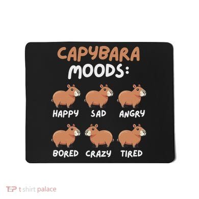 Funny Cute Capybara Moods Children Women Mousepad