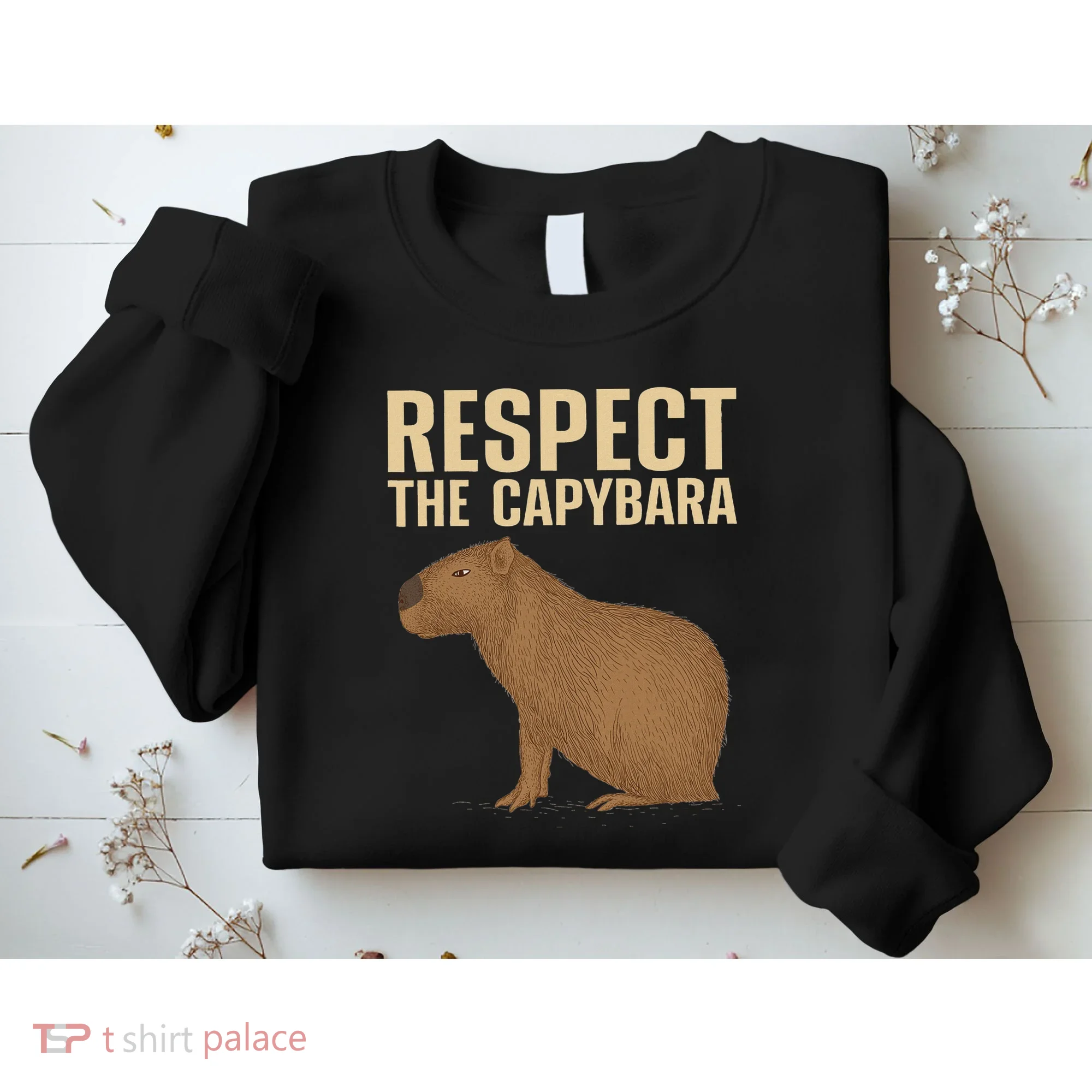 Funny Capybara Cavy Rodent Capybara Lover Sweatshirt