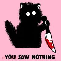 Funny Cat Cat Lovers You Saw Nothing Coaster thumb 2