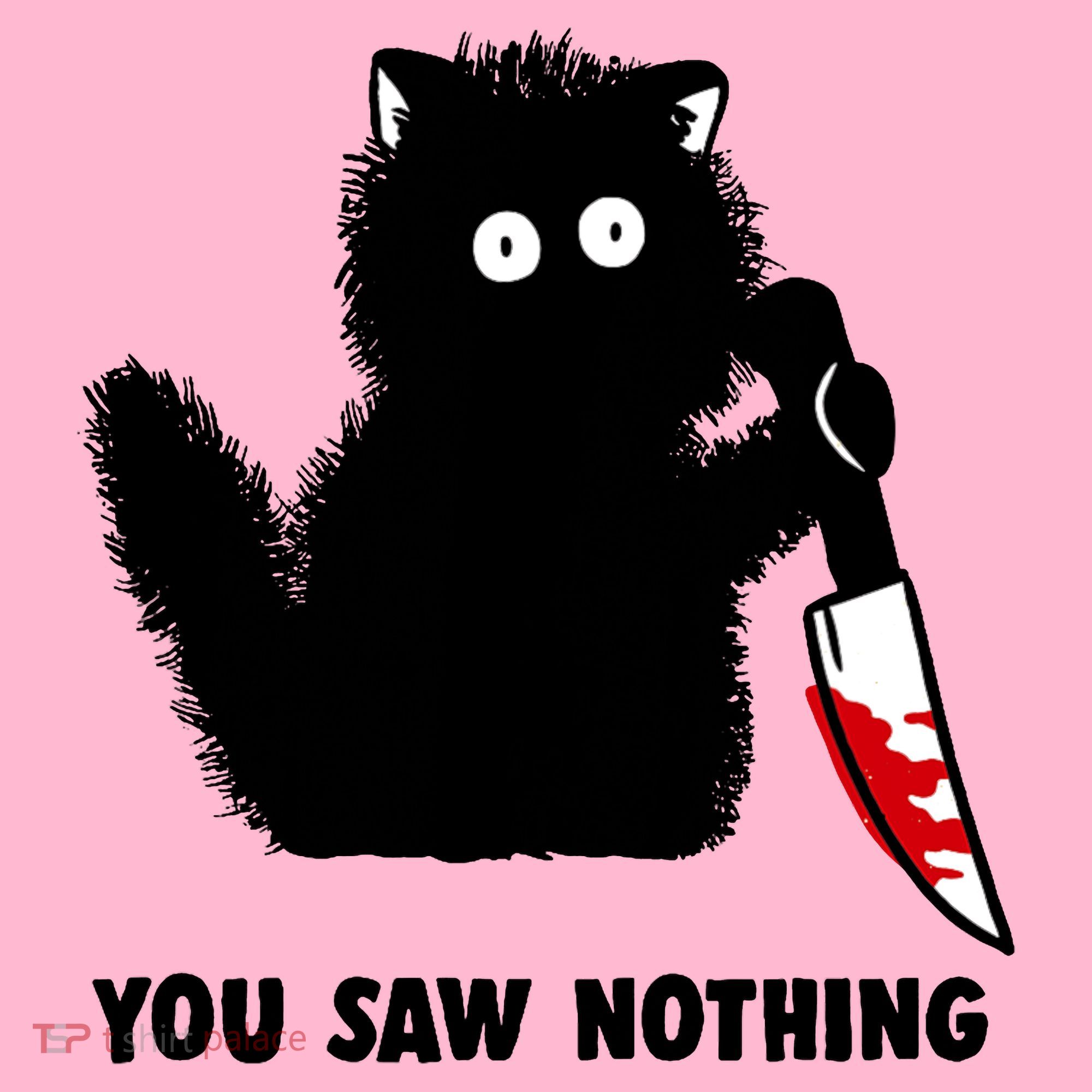 Funny Cat Cat Lovers You Saw Nothing Coaster