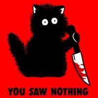 Funny Cat Cat Lovers You Saw Nothing Santa Hat thumb 1